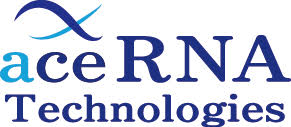 aceRNA Technologies Co., Ltd.