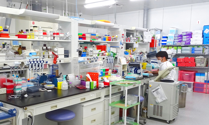 The private space consists of an office and a laboratory. In the lab shown in the photo, experiments using cells are conducted daily.